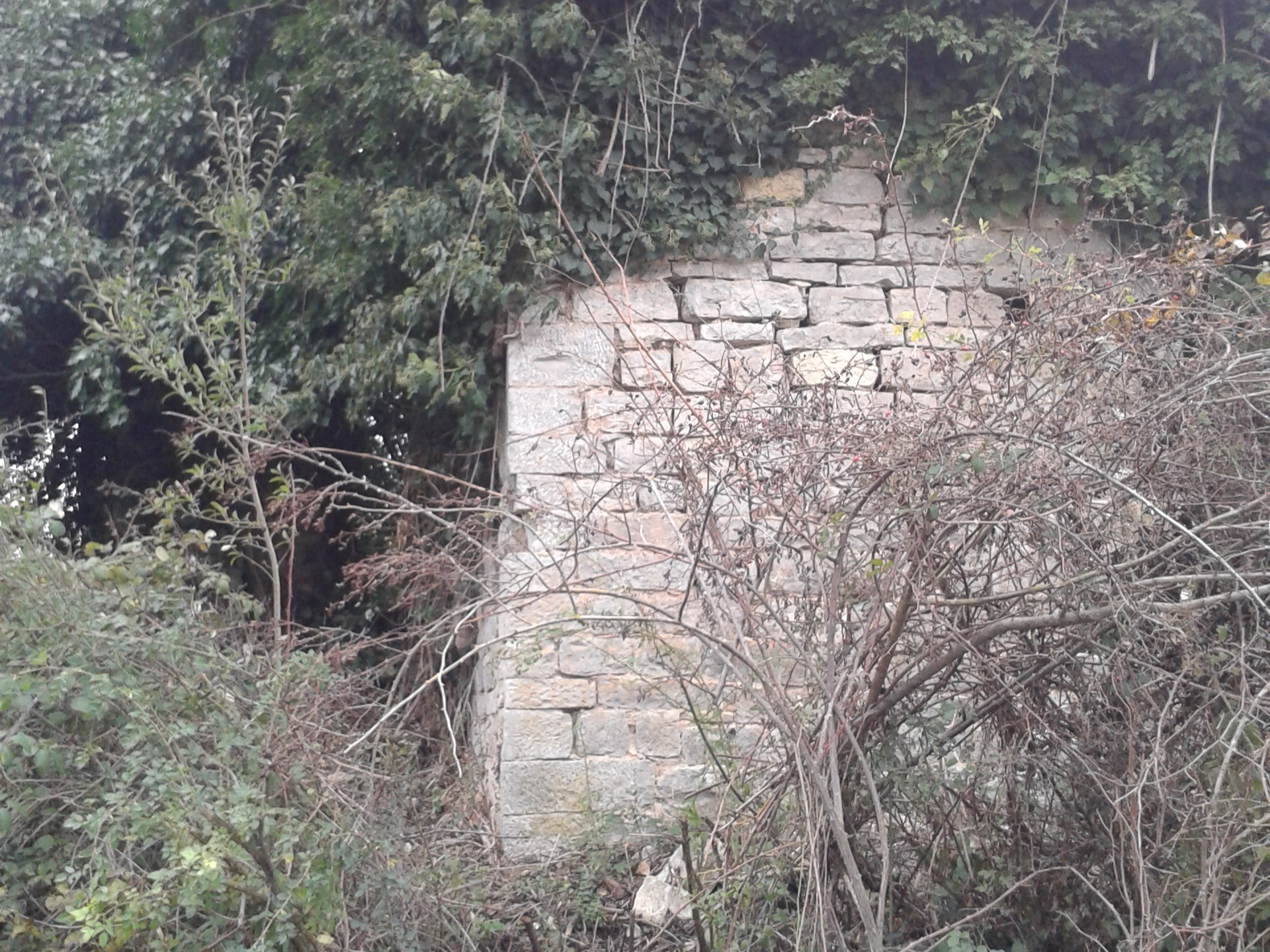 Foto del 2013 dei ruderi dell'abazia di Acqualta